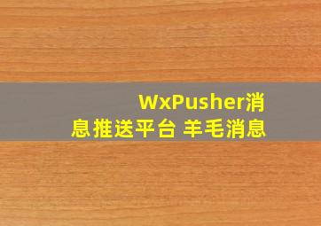 WxPusher消息推送平台 羊毛消息